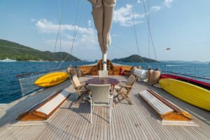 Paddle board, canoes, water skis, and water toys ready for charter guests on Amazon Solo