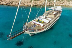 Estrella De Mar 2 Estrella De Mar