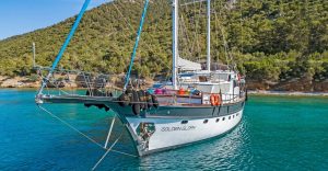 Golden Glory 1 Golden Glory