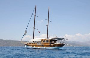 THALASA Gulet Charter – Standard Gulet Rental in Fethiye for 8 Guests