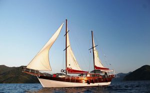 Altug Baba 5