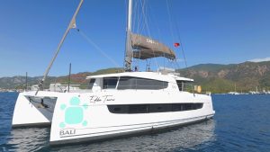 Ediba Taurus - Bali 4.8