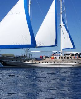 Teak mahogany built gulet (21)