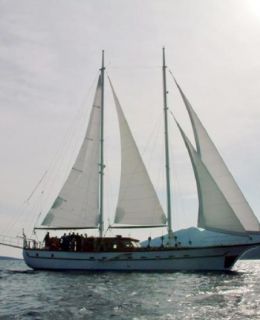 22.5 M  Steel Gulet For Sale (7)