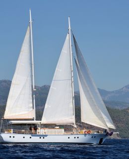 Classic Schooner for Sale Sailing (3)