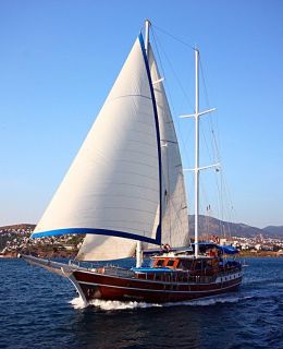 Blue Cruise (1)