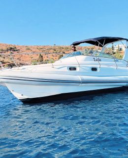 Laila Zodiac Boat Bodrum (1)