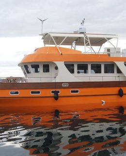 Well Abled Yacht (3)