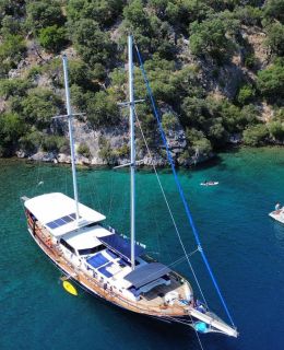 blue marlin (001)