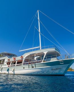 Dolce Vita Daily (DVD01)