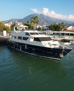 son of the seas (502)