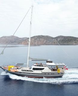 arni (002)
