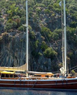 Bibi Aysegul, Bibi Aysegul 5