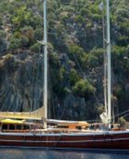 bibi aysegul for sale (002)