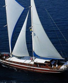 bibi aysegul for sale (011)