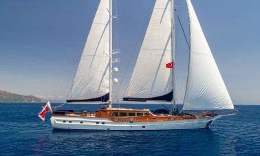 Large Gulet For Sale (703) master