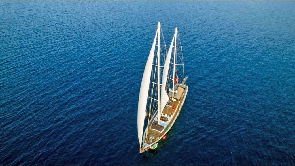 Nautilus motor Sailing yacht (3)