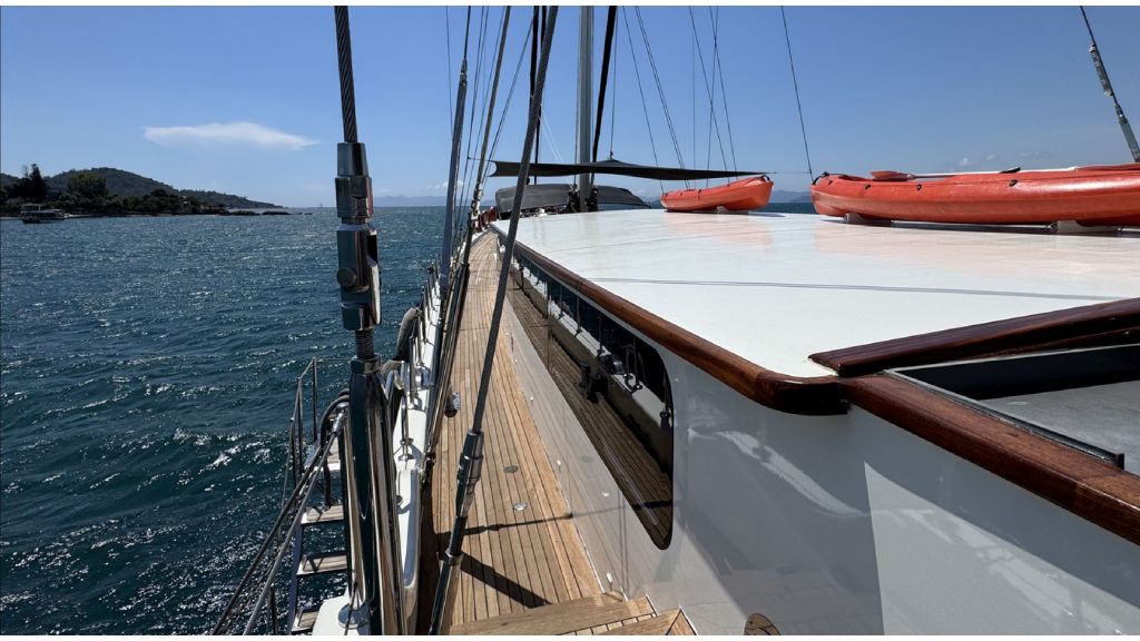 Nautilus14