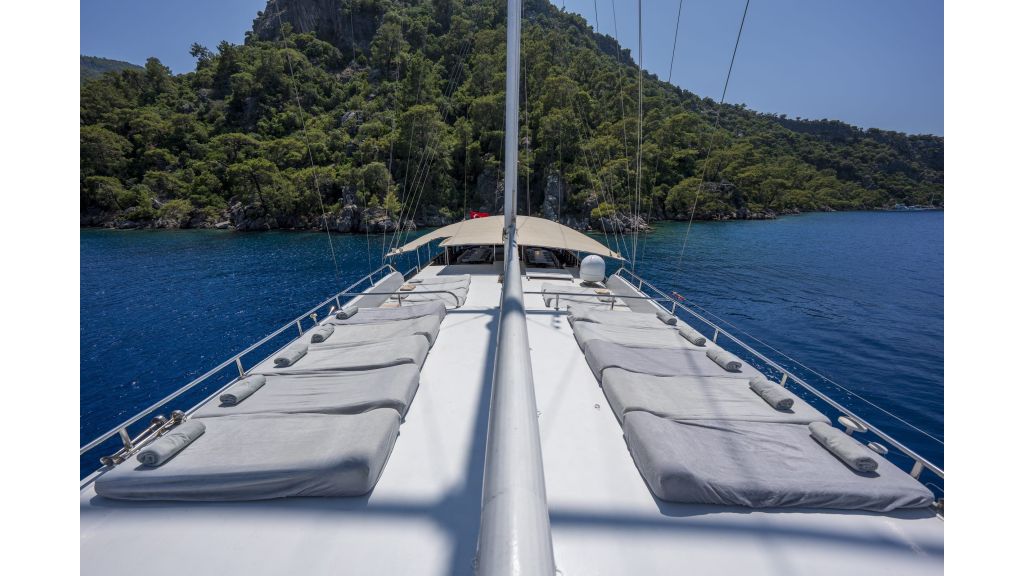 holiday x (952) master