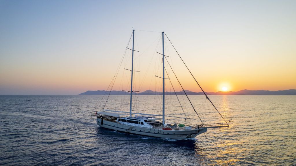 holiday x (990) master