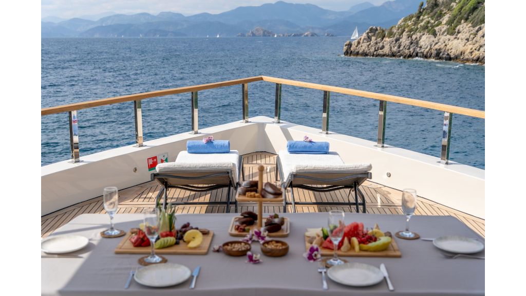 Neo Motoryacht Trawler (16)