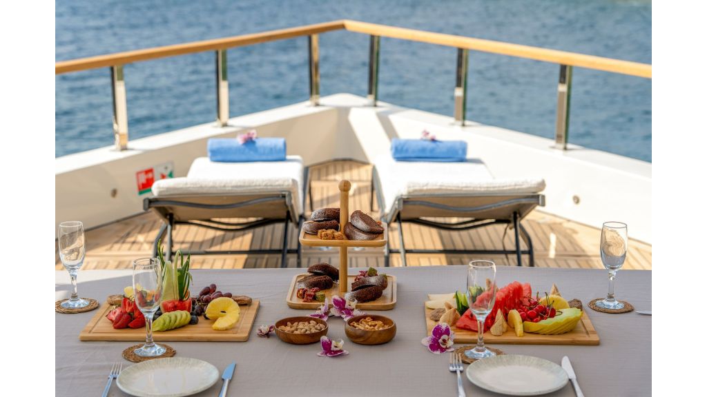 Neo Motoryacht Trawler (22)