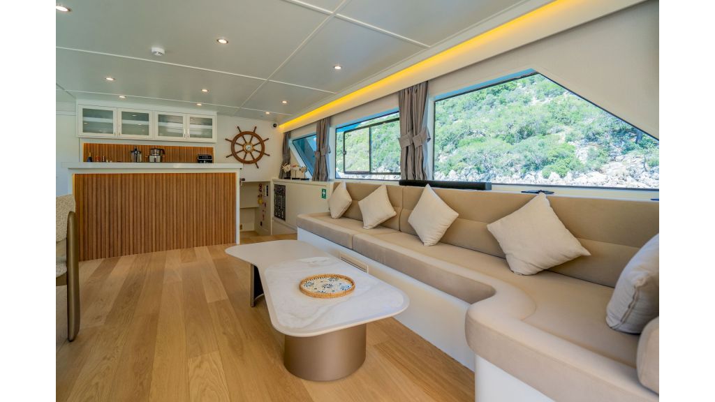 Neo Motoryacht Trawler (23)