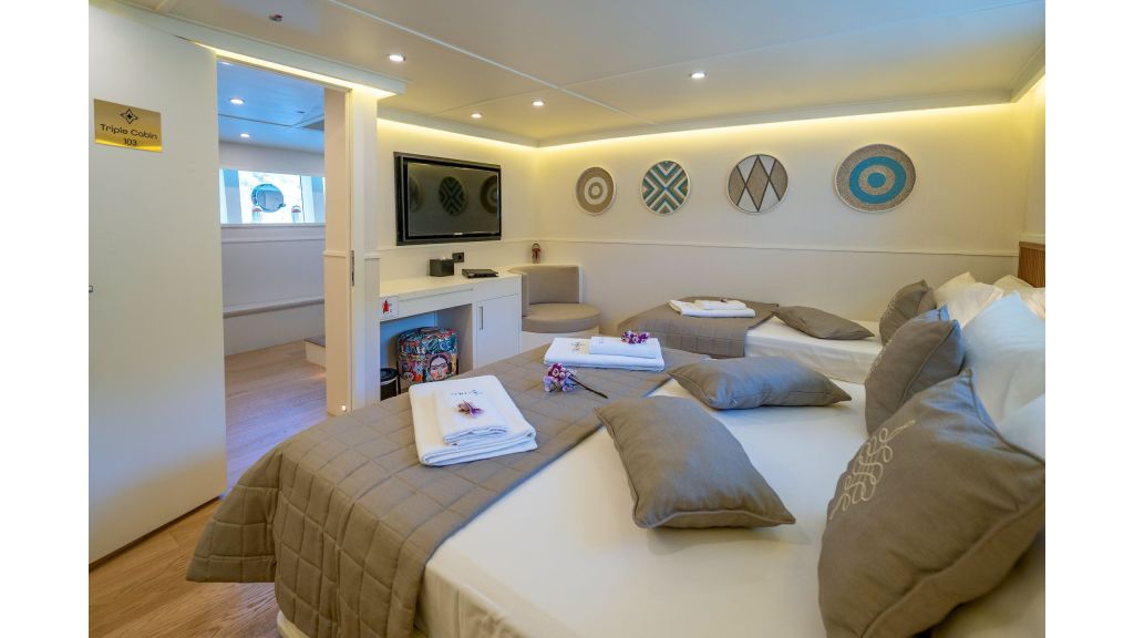 Neo Motoryacht Trawler (36)