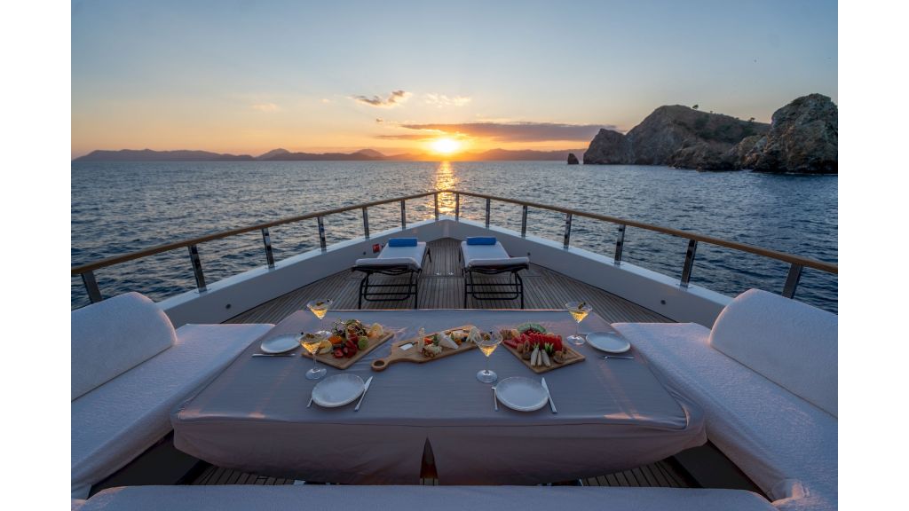 Neo Motoryacht Trawler (41)