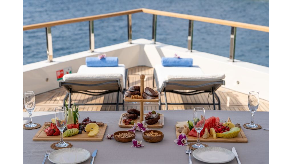 Neo Motoryacht Trawler (45)