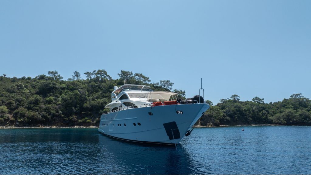 Custom Build 31M (511)