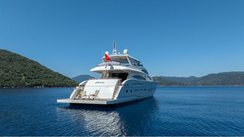 Custom Build 31M (513)