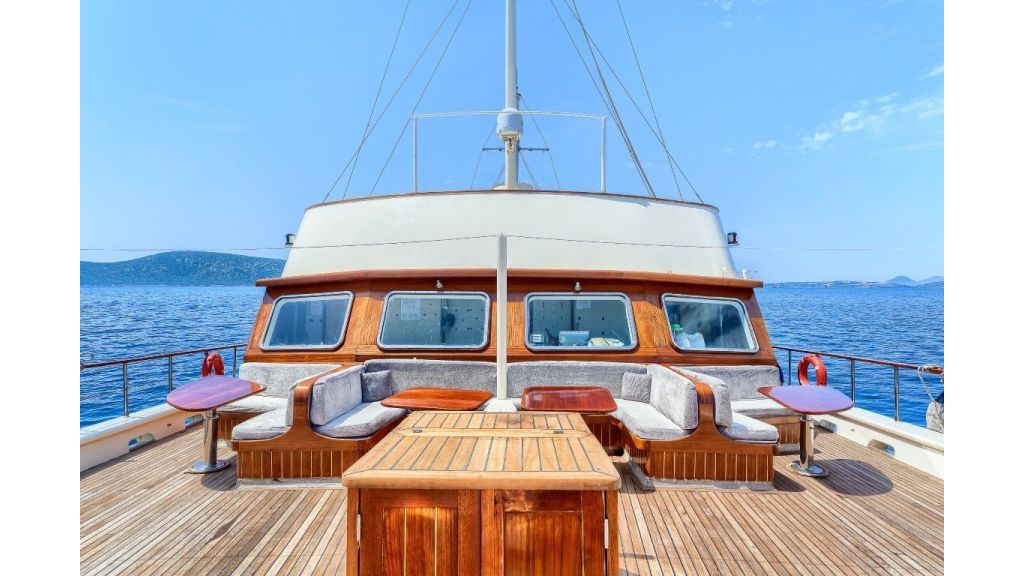 Passanger Yacht For Sale (25)
