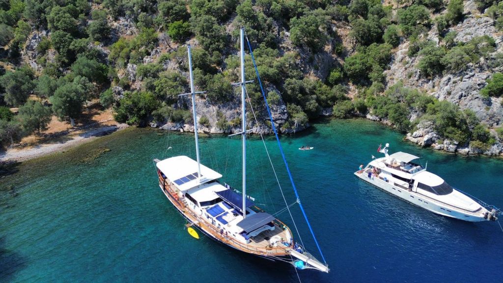 blue marlin (001)