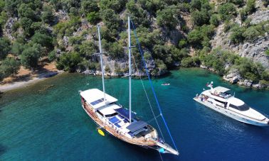 blue marlin (001)