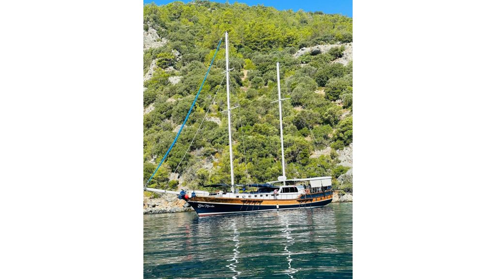 blue marlin (002)