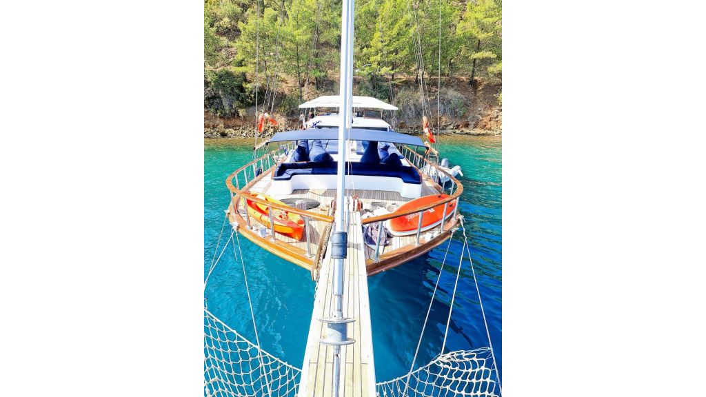 blue marlin (006)