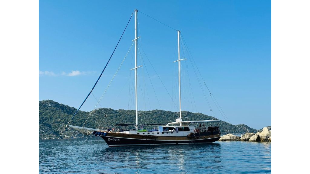 blue marlin (012)