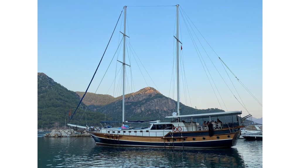 blue marlin (013)