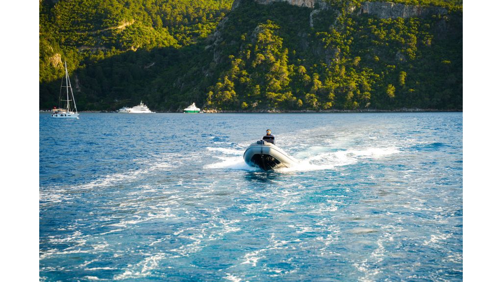 King Of The Sea (504)