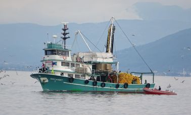 28.8m Fishing Vessel (002) master
