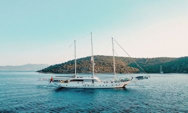 bella mare (501) master