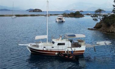 della luna (501) master