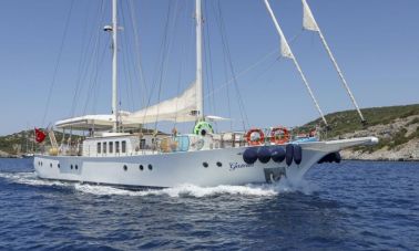 gazella (001) master