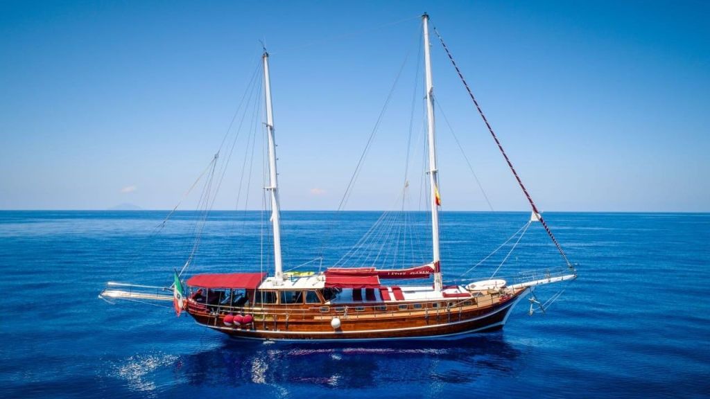 latife sultan (501) master