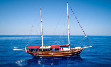 latife sultan (501) master