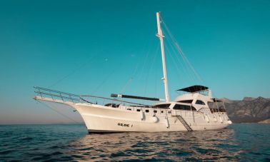 özde 1 (000) master