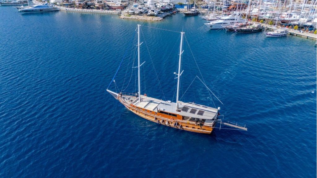 Prenses Alize 005 master