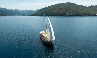 gulet memo (001) master