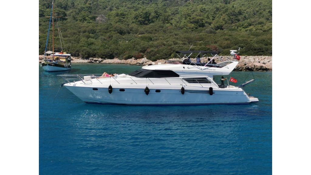 queen of angel motor yacht (502)